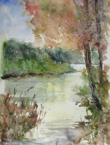 la riva del ticino