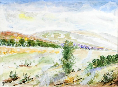 campi borgogna