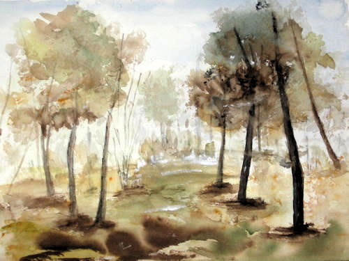 la foresta in autunno