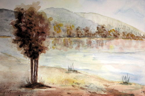 l'arbre au bord du lac