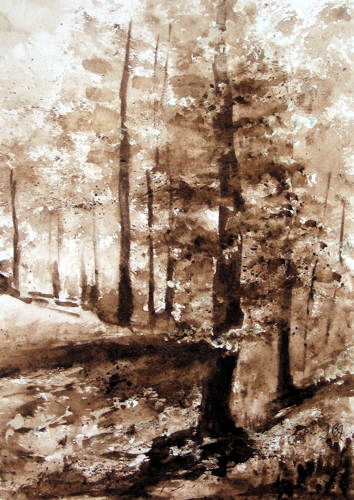 il sottobosco