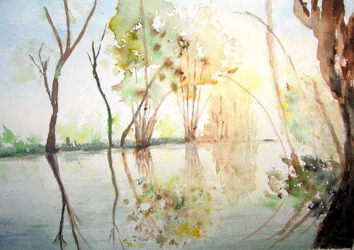 les reflets