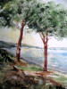 mormorio sul lago maggiore