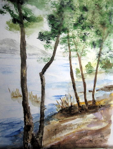 paysage lac majeur